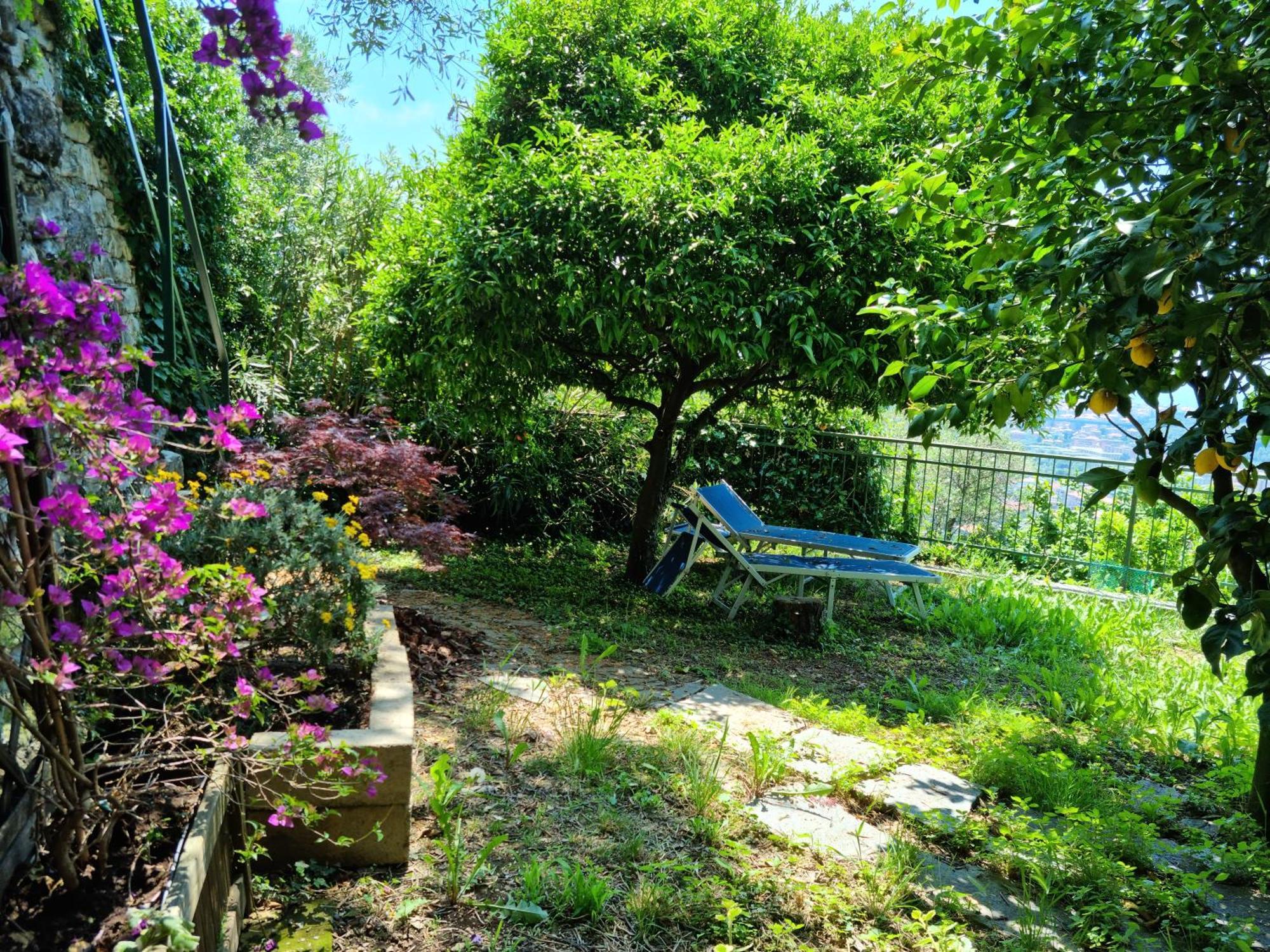 B&B La Terrazza Sui Fieschi Cogorno Екстериор снимка