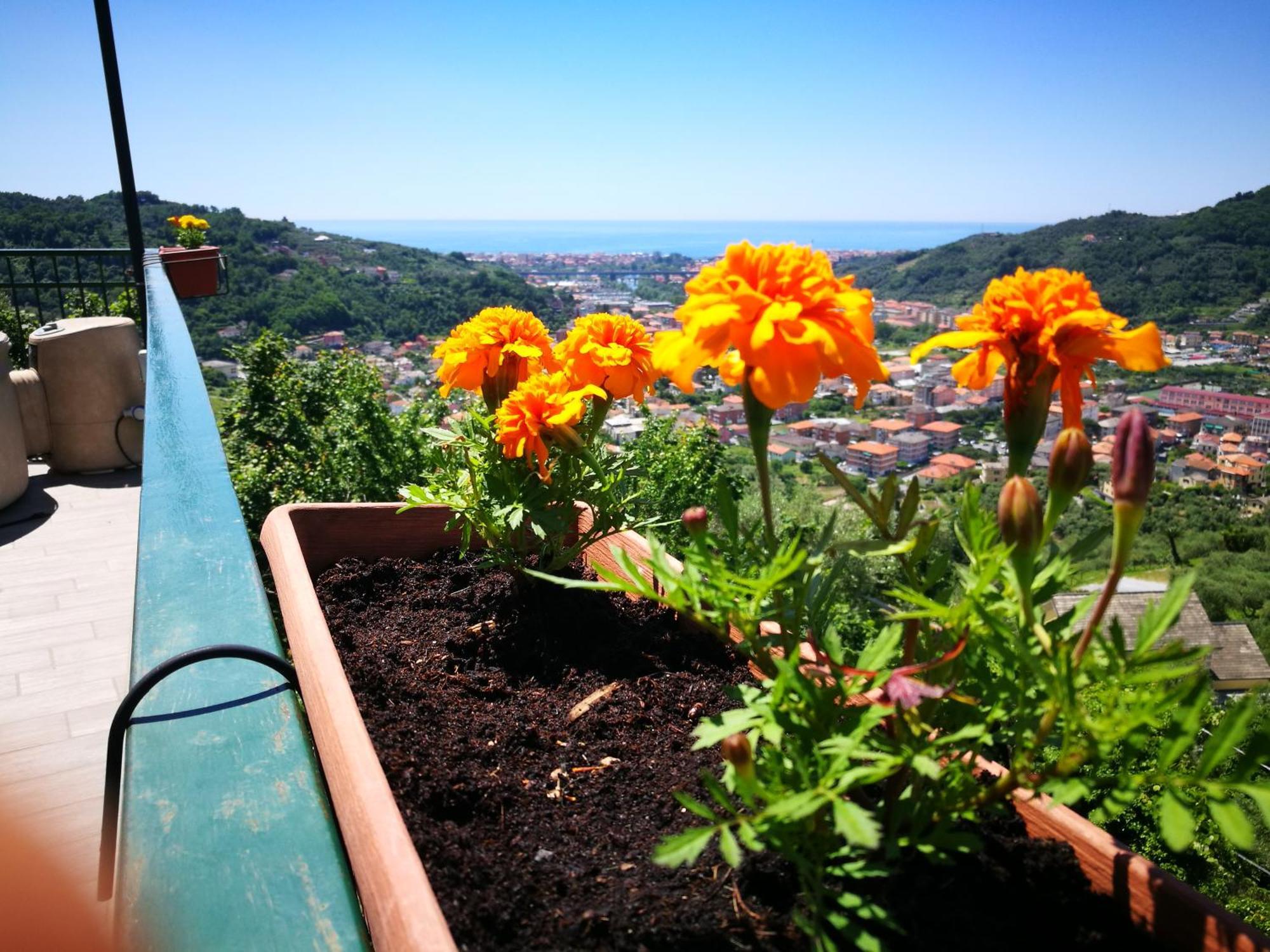 B&B La Terrazza Sui Fieschi Cogorno Екстериор снимка